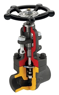 Globe Valve